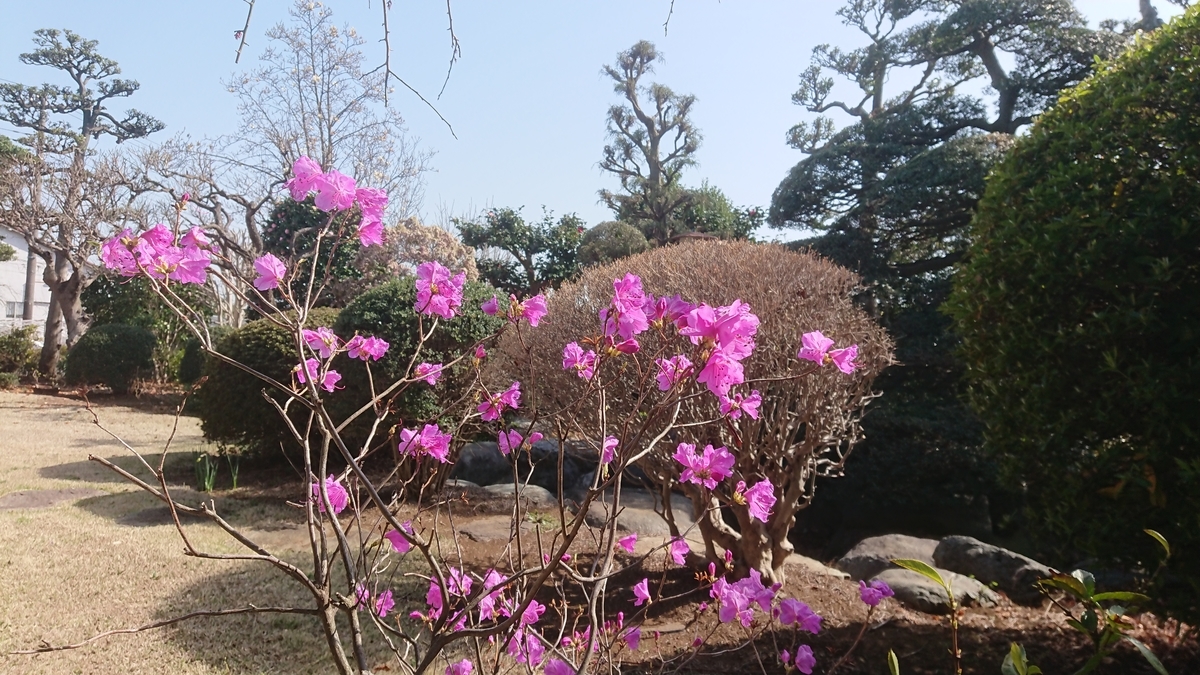 f:id:griffinavenue:20210318174150j:plain