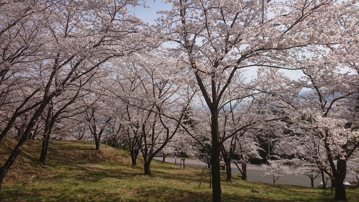 f:id:griffinavenue:20210329133246j:plain