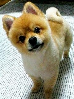 f:id:griffinavenue:20210920153038j:plain