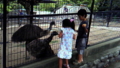 エミューに餌やり(^O^)