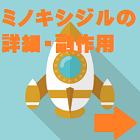 f:id:grigrizero:20191125123533p:plain