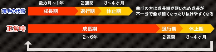 f:id:grigrizero:20200228155203j:plain
