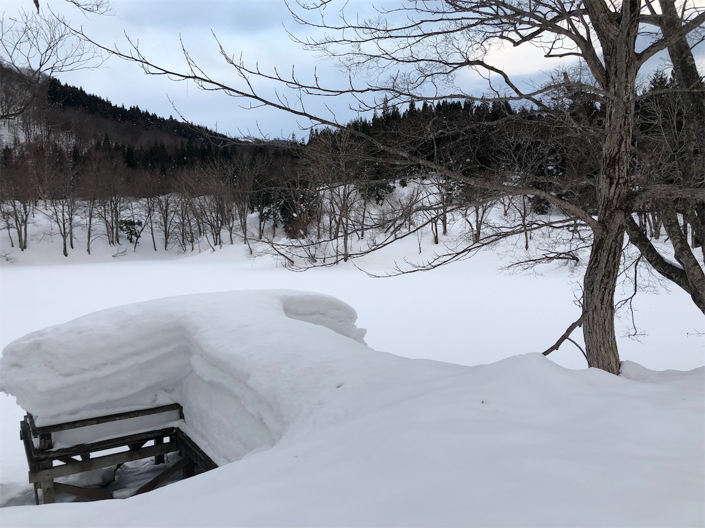 f:id:grikon716:20190117234230j:image f:id:grikon716:20190117234230j:image