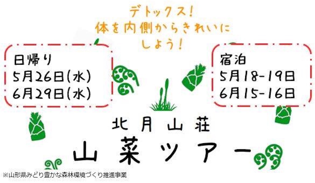 f:id:grikon716:20190410064404j:image f:id:grikon716:20190410064404j:image