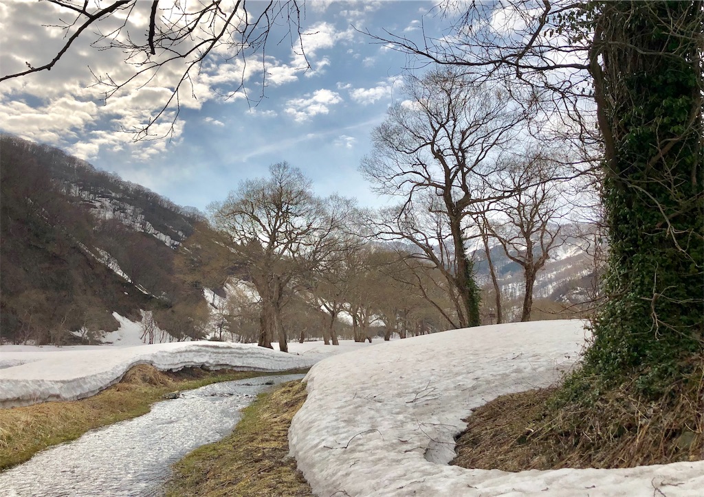 f:id:grikon716:20190410065526j:image f:id:grikon716:20190410065526j:image