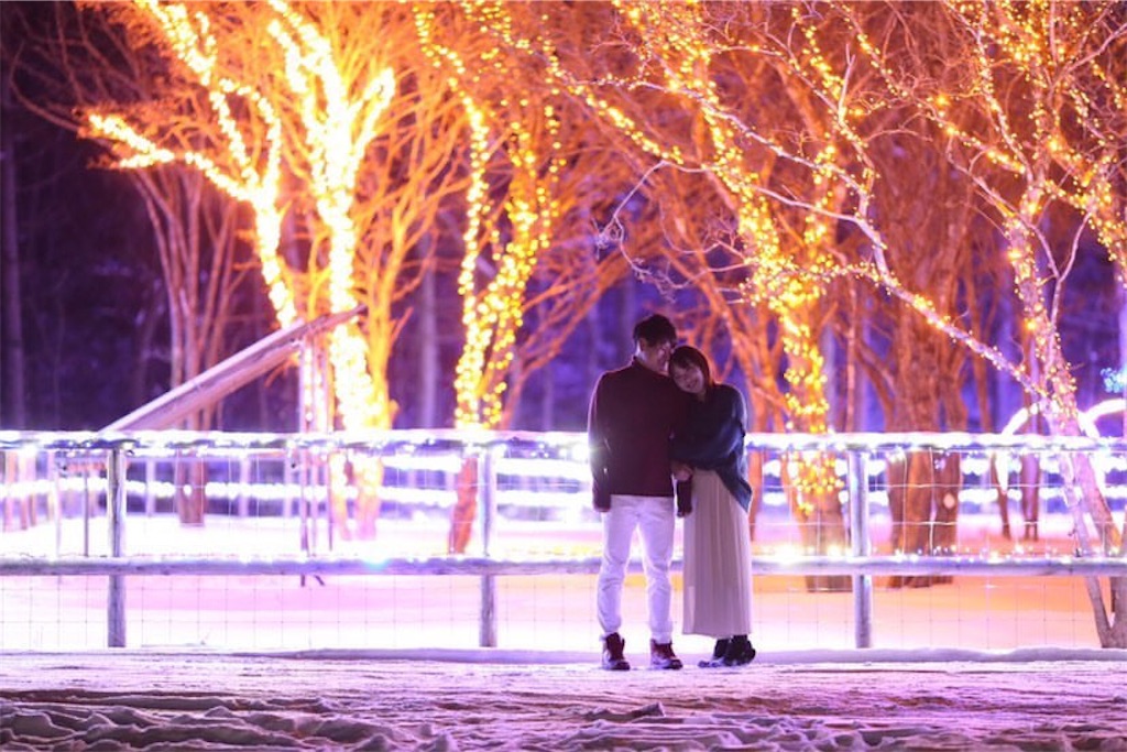 f:id:grikon716:20201229173006j:image f:id:grikon716:20201229173006j:image