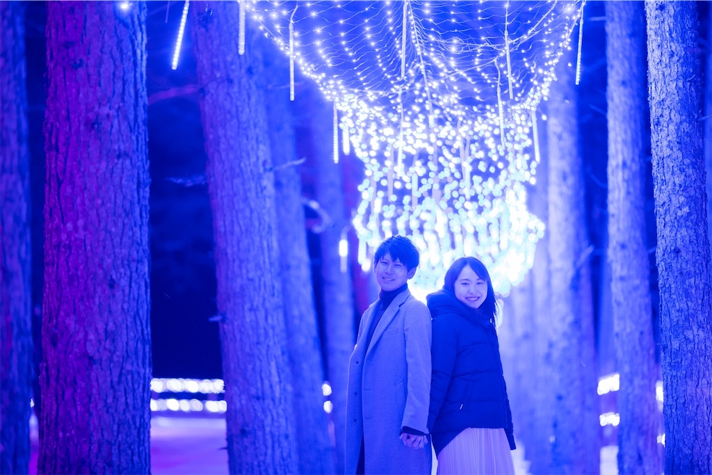 f:id:grikon716:20201229173014j:image f:id:grikon716:20201229173014j:image