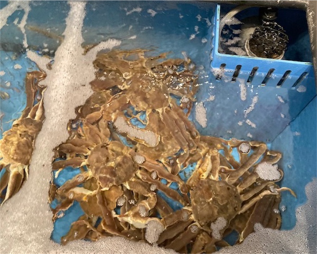 f:id:grin21:20220408001240j:image