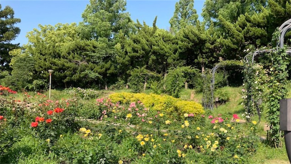 f:id:grin21:20220525234933j:image