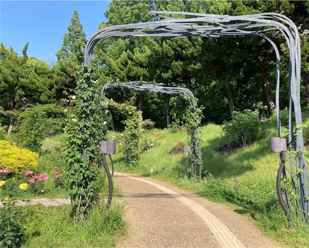 f:id:grin21:20220525234936j:image