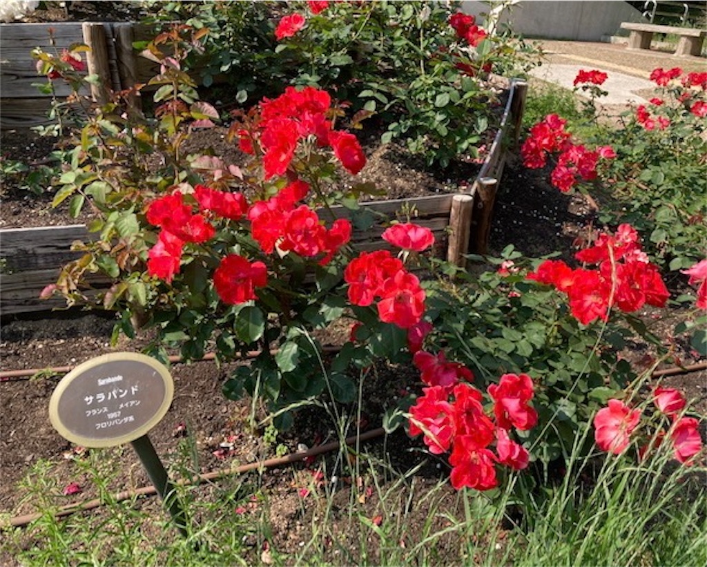 f:id:grin21:20220526001054j:image