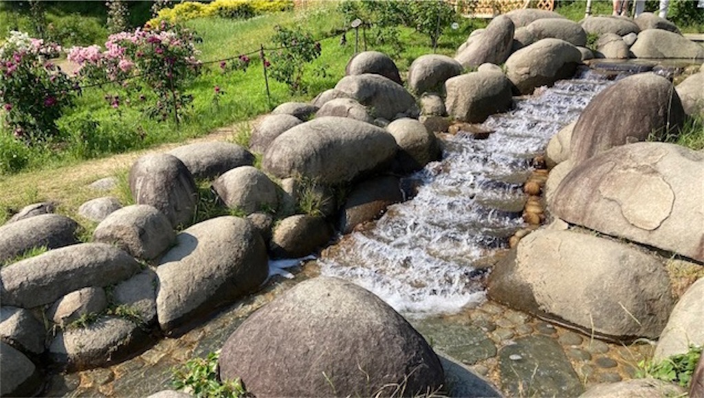 f:id:grin21:20220526001202j:image