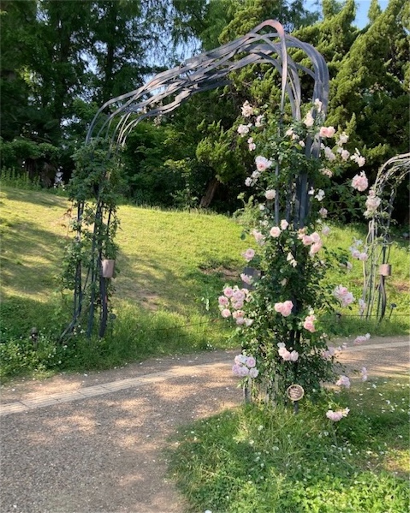 f:id:grin21:20220526154518j:image