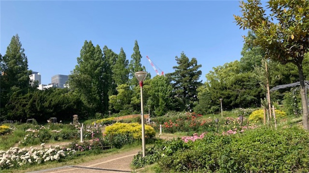 f:id:grin21:20220526172651j:image