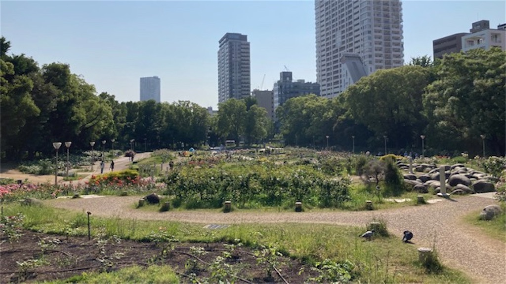 f:id:grin21:20220526173102j:image