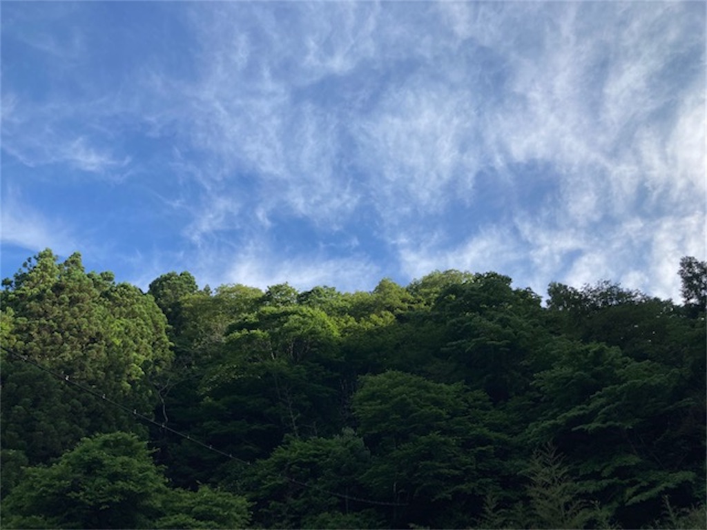 f:id:grin21:20220604185551j:image