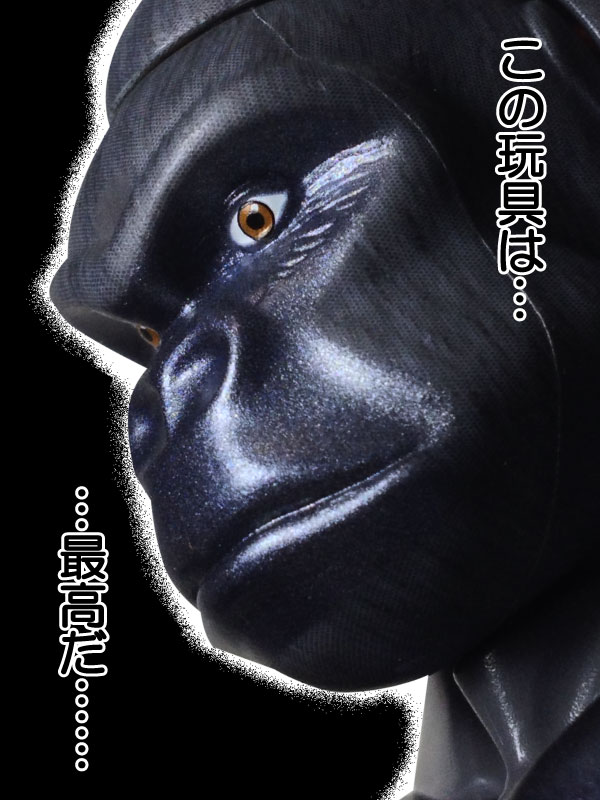 f:id:grizzly1:20170115073609j:plain