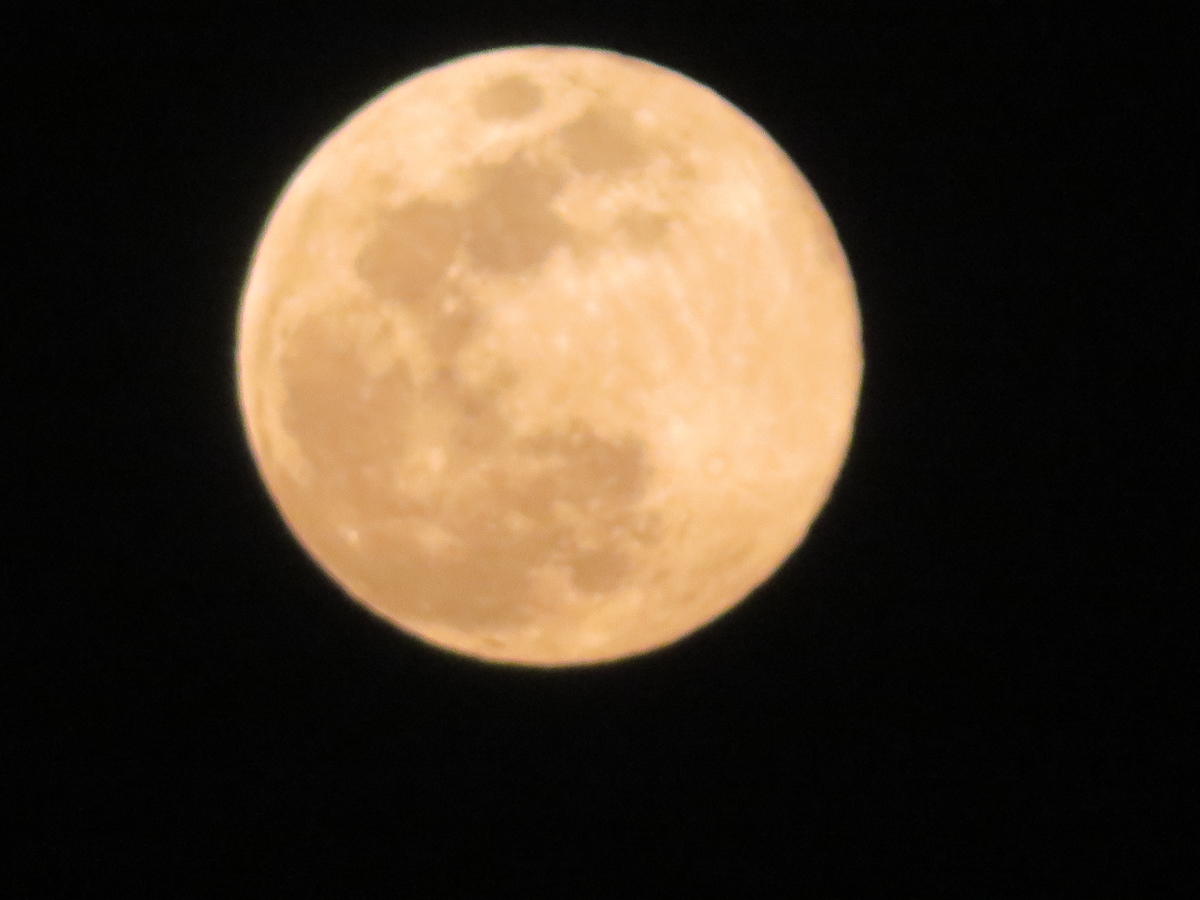 f:id:grk1:20190419200424j:plain