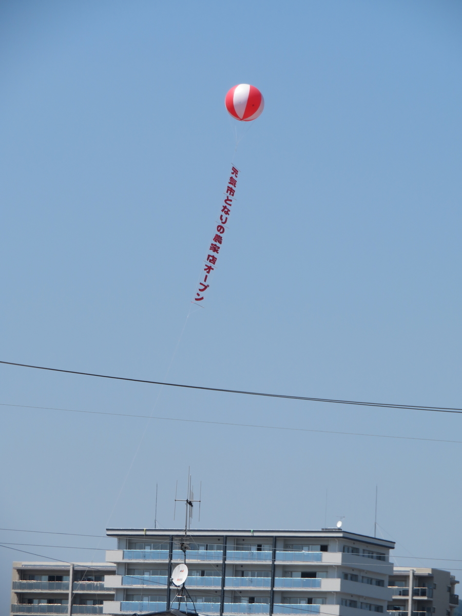 f:id:grk1:20190524193906j:plain f:id:grk1:20190524193906j:plain