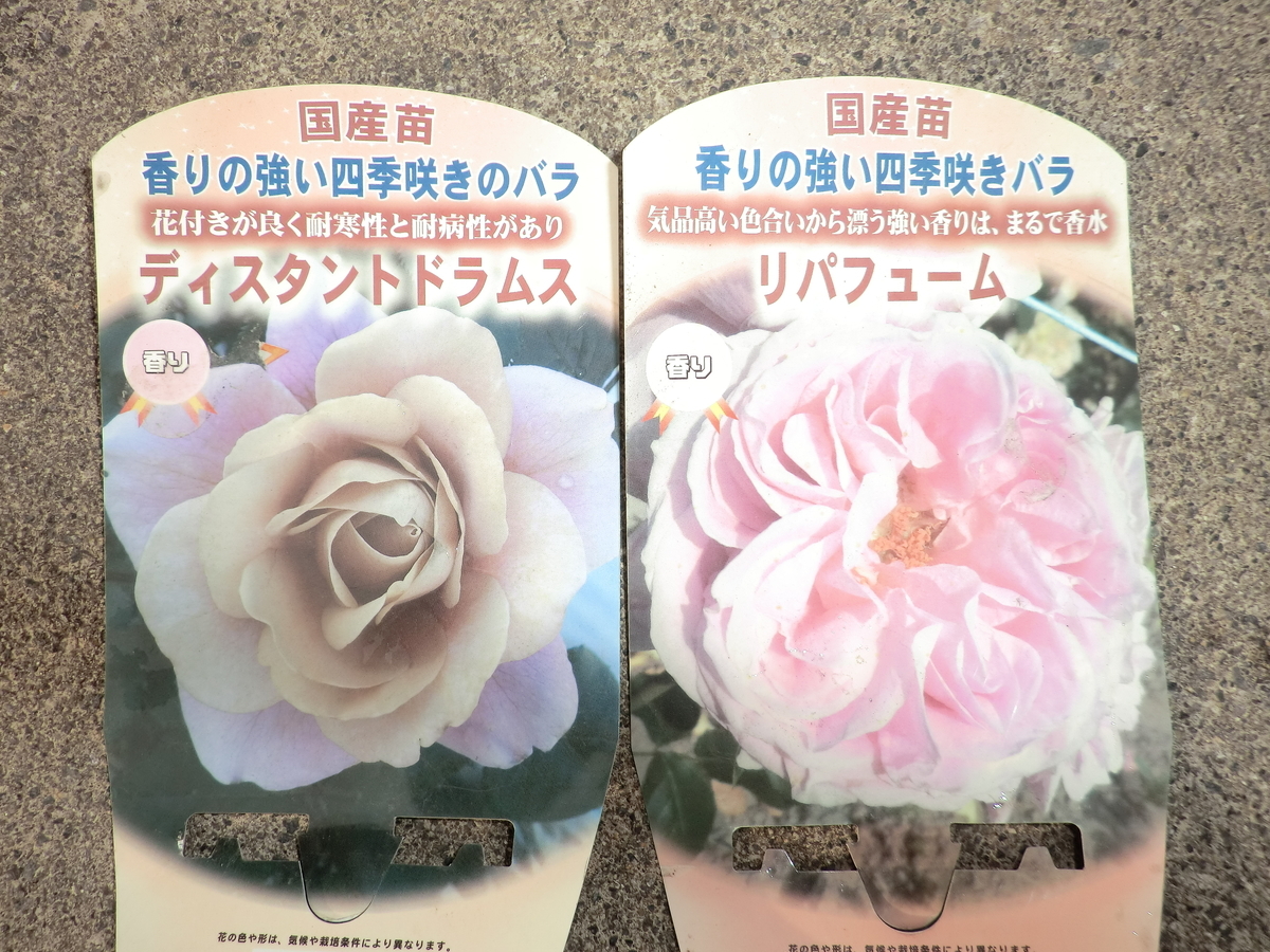 f:id:grk1:20190606195413j:plain f:id:grk1:20190606195413j:plain