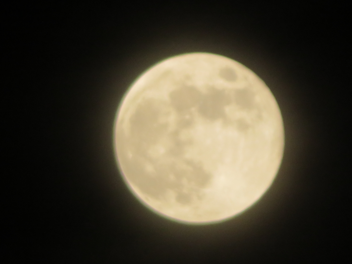 f:id:grk1:20190618084934j:plain f:id:grk1:20190618084934j:plain