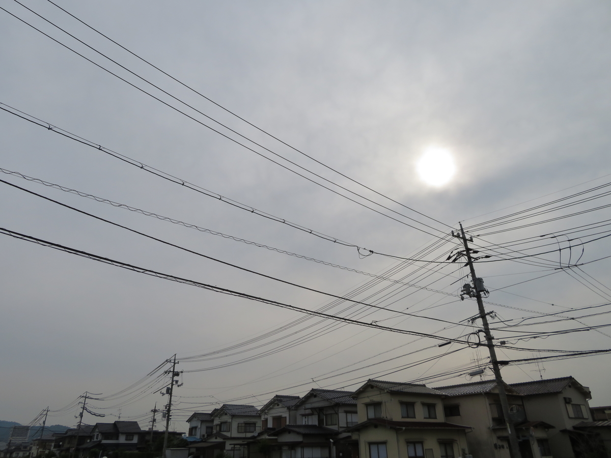 f:id:grk1:20190618133330j:plain f:id:grk1:20190618133330j:plain