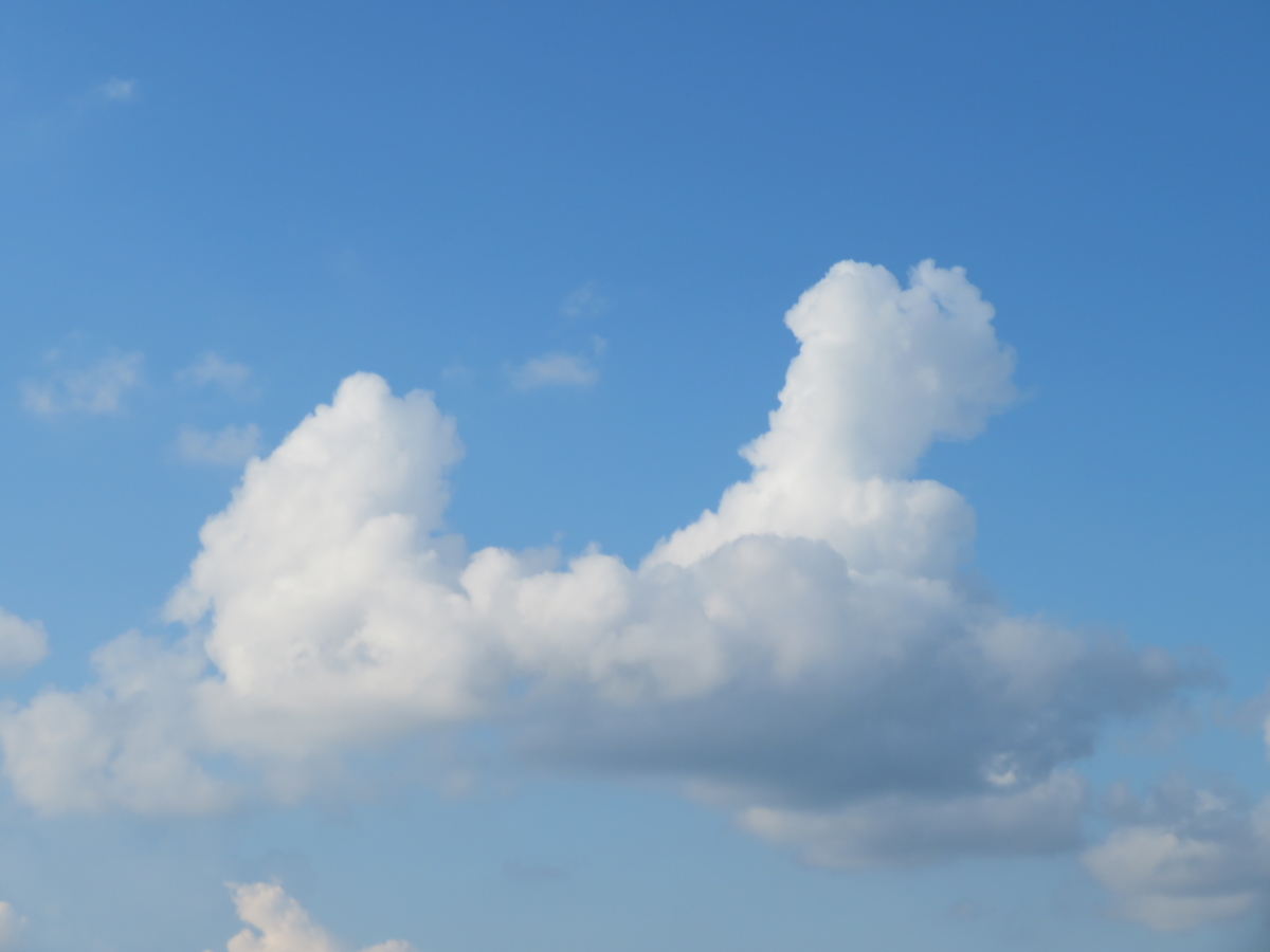 f:id:grk1:20190730172819j:plain f:id:grk1:20190730172819j:plain