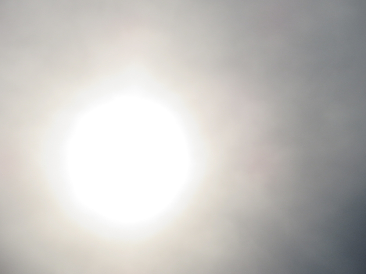 f:id:grk1:20190810172823j:plain f:id:grk1:20190810172823j:plain