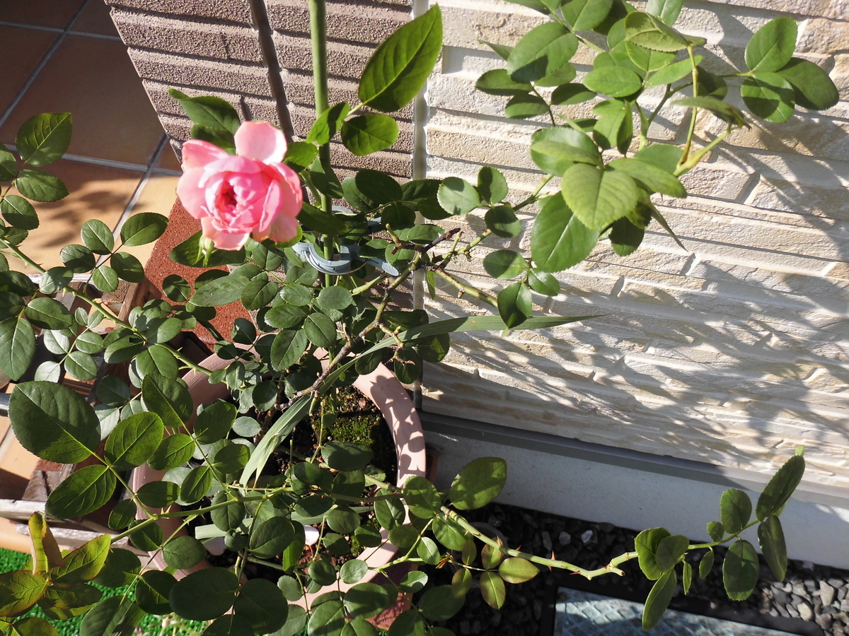 f:id:grk1:20190831121015j:plain