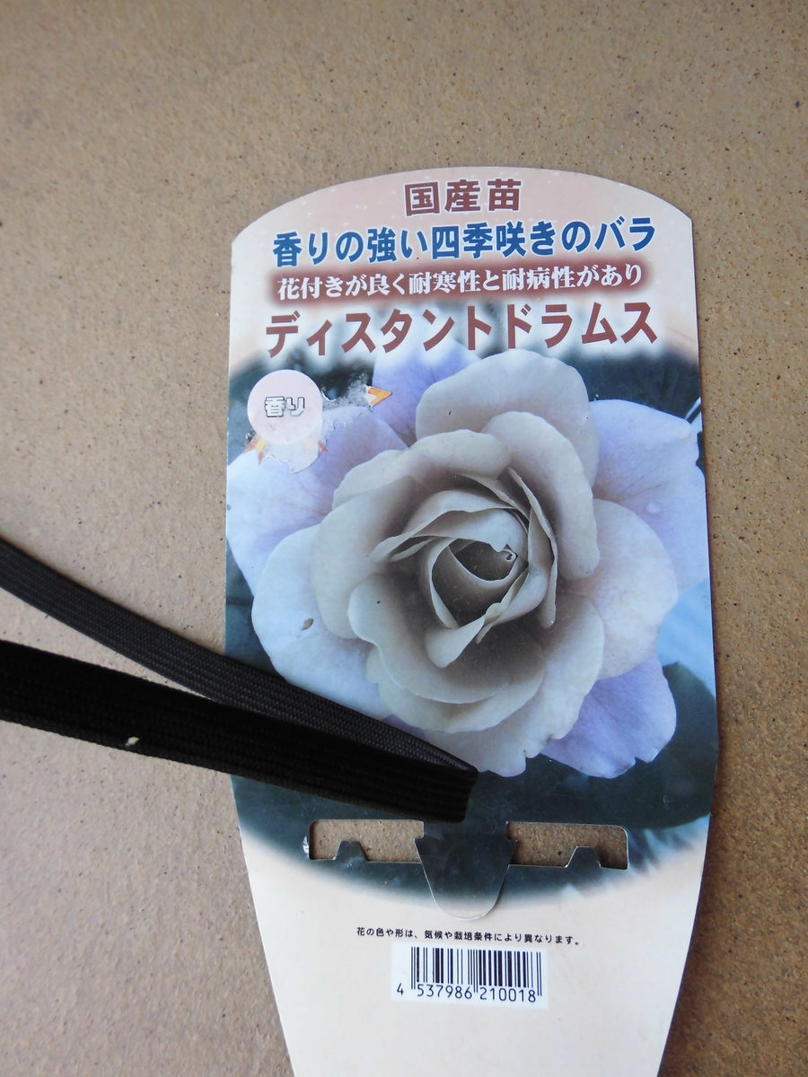 f:id:grk1:20190831121649j:plain f:id:grk1:20190831121649j:plain