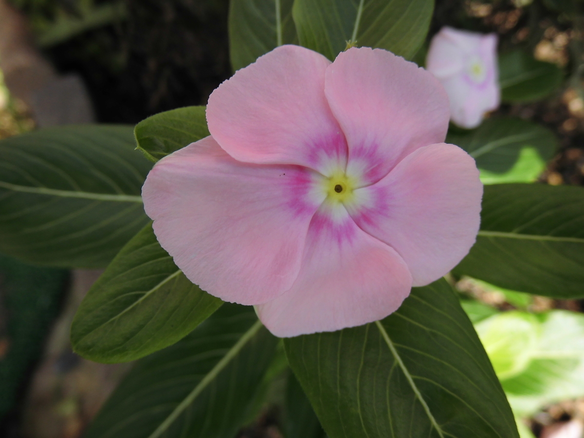 f:id:grk1:20190831125237j:plain