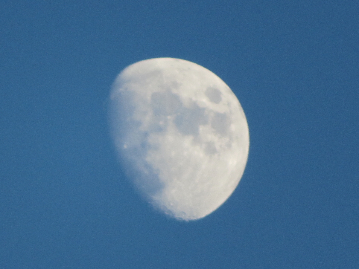 f:id:grk1:20190909203428j:plain