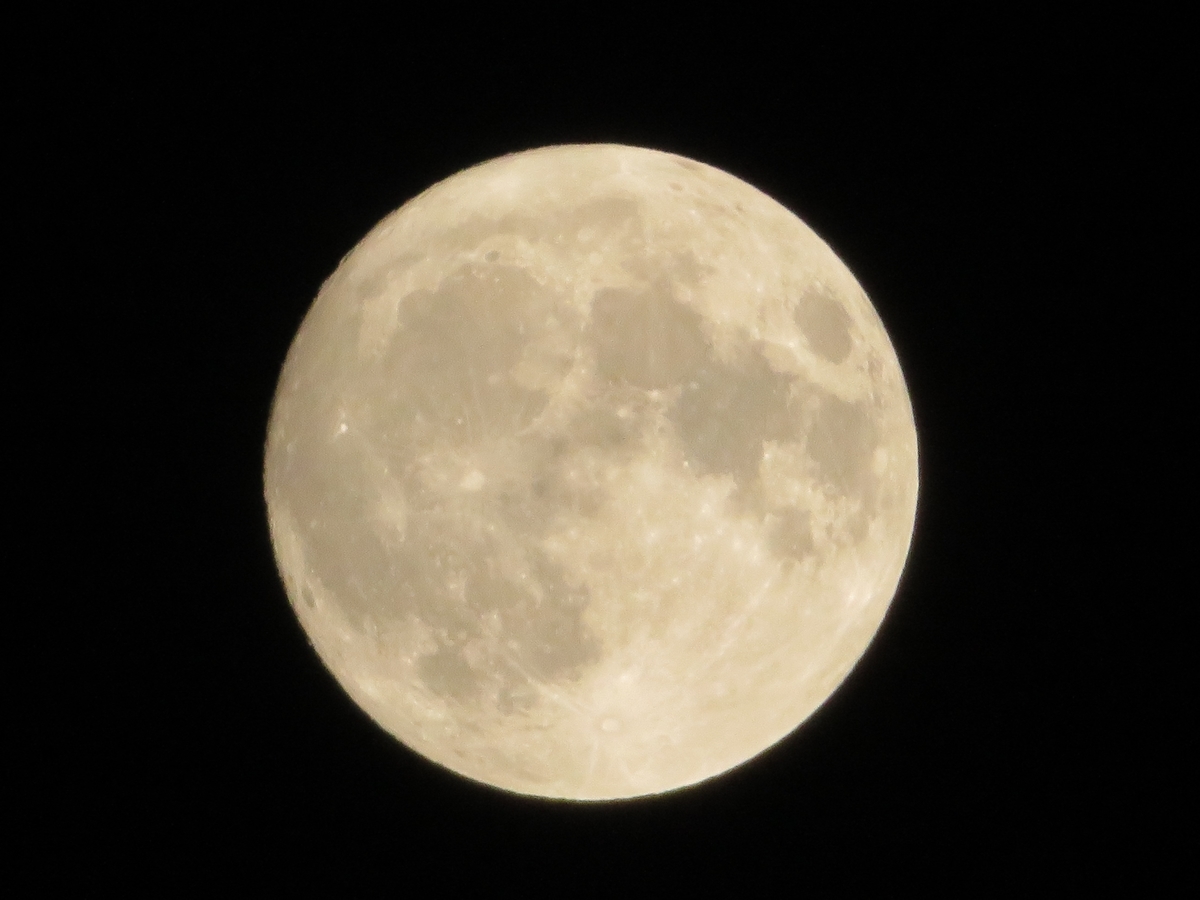 f:id:grk1:20190914060327j:plain f:id:grk1:20190914060327j:plain