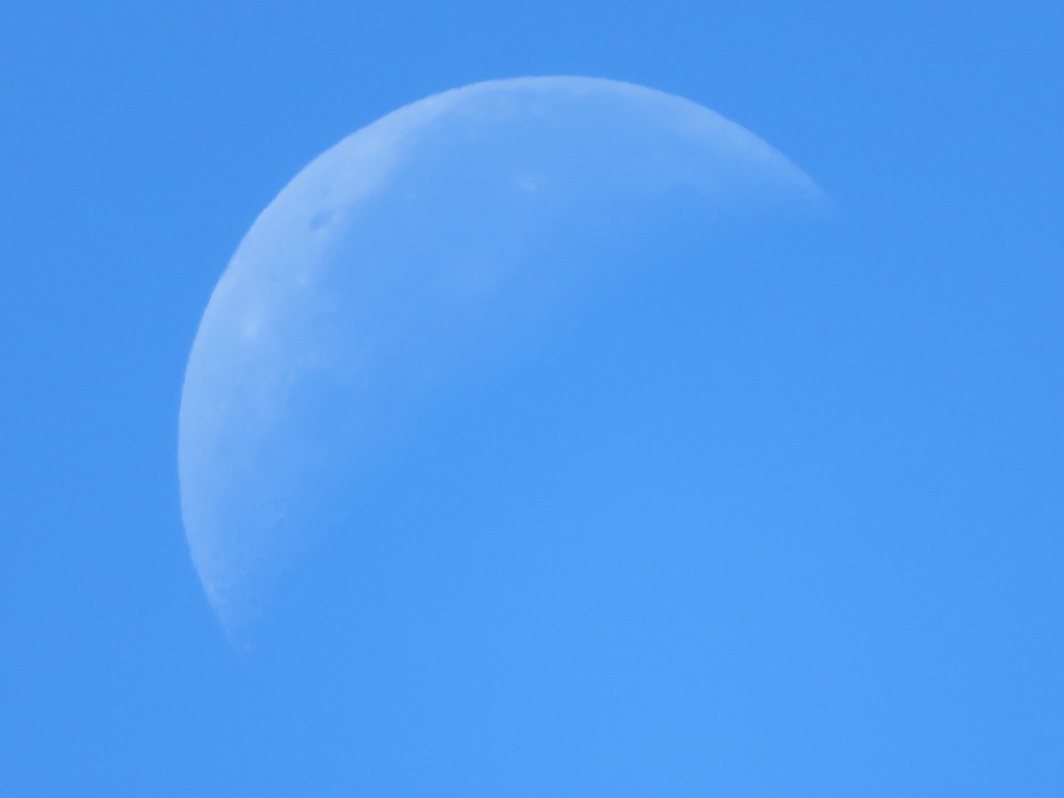 f:id:grk1:20190924232849j:plain f:id:grk1:20190924232849j:plain