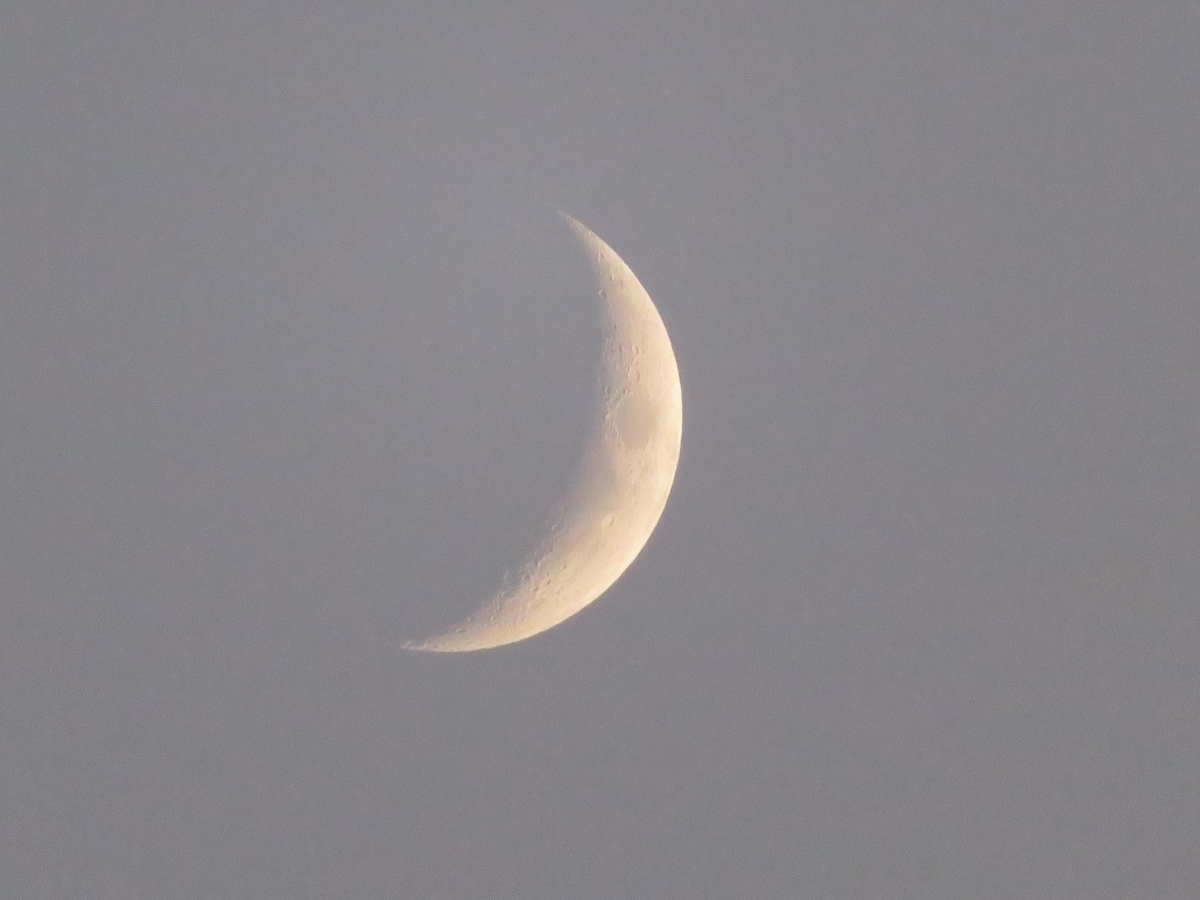 f:id:grk1:20191101202421j:plain