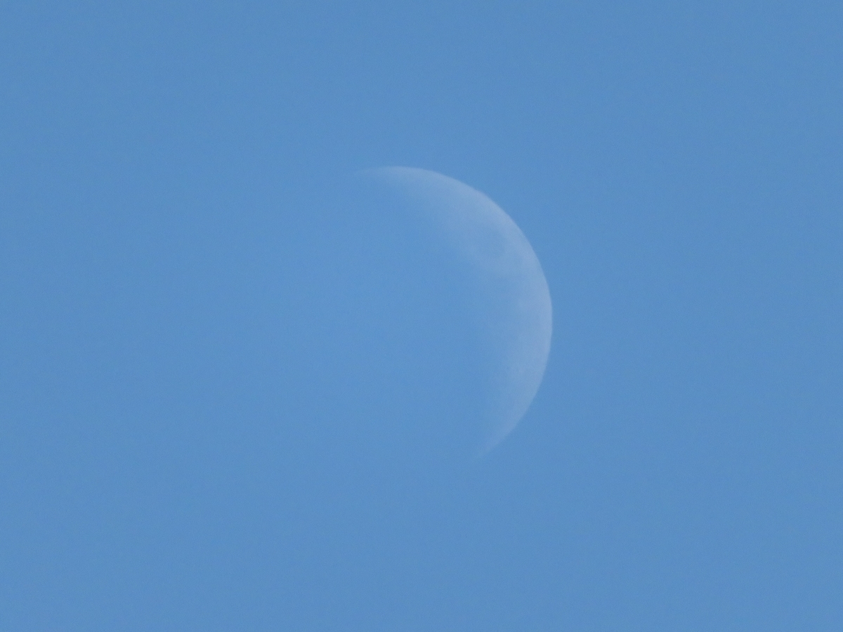 f:id:grk1:20191102190958j:plain