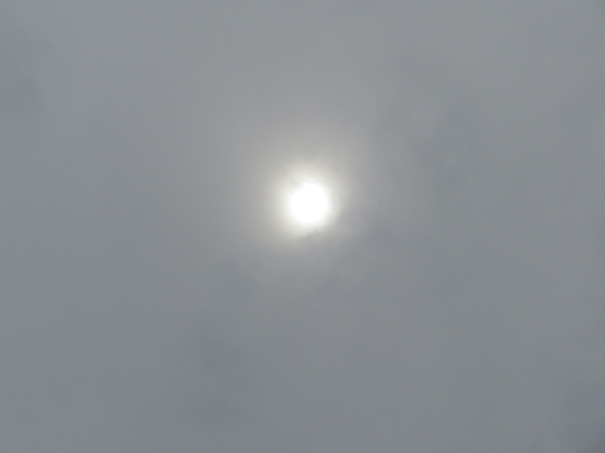 f:id:grk1:20191104103329j:plain