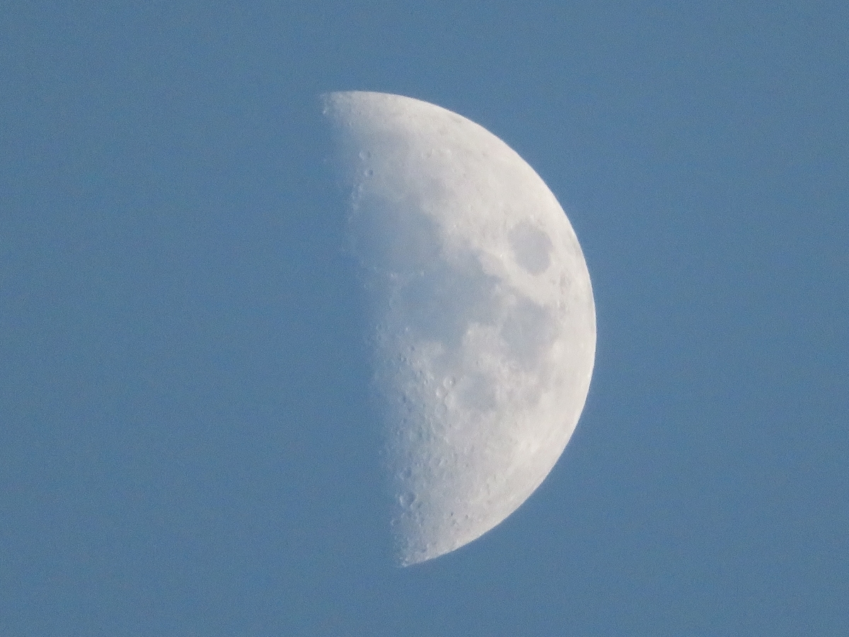 f:id:grk1:20191104182137j:plain f:id:grk1:20191104182137j:plain
