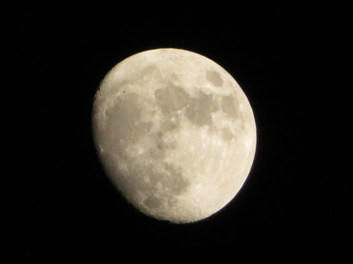 f:id:grk1:20191109183954j:plain f:id:grk1:20191109183954j:plain