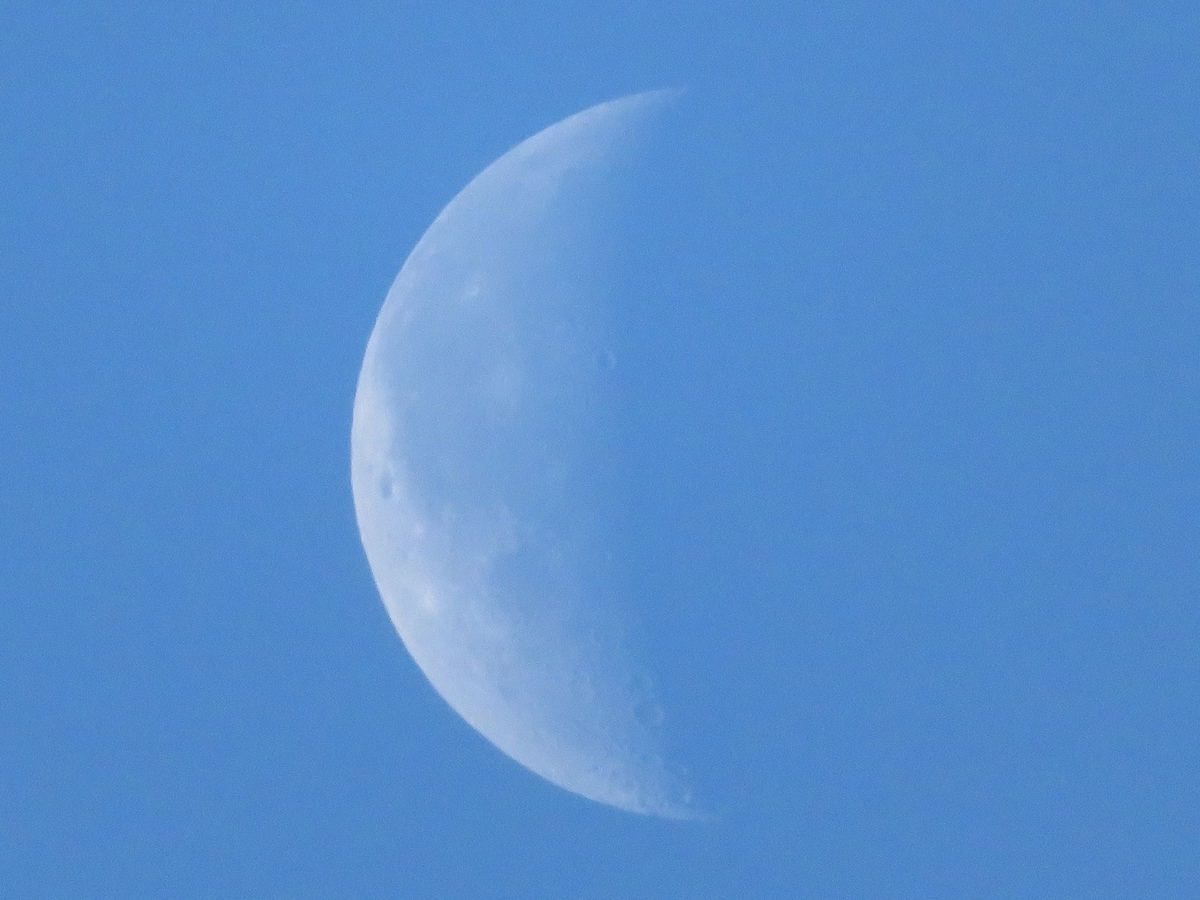 f:id:grk1:20191121205820j:plain f:id:grk1:20191121205820j:plain