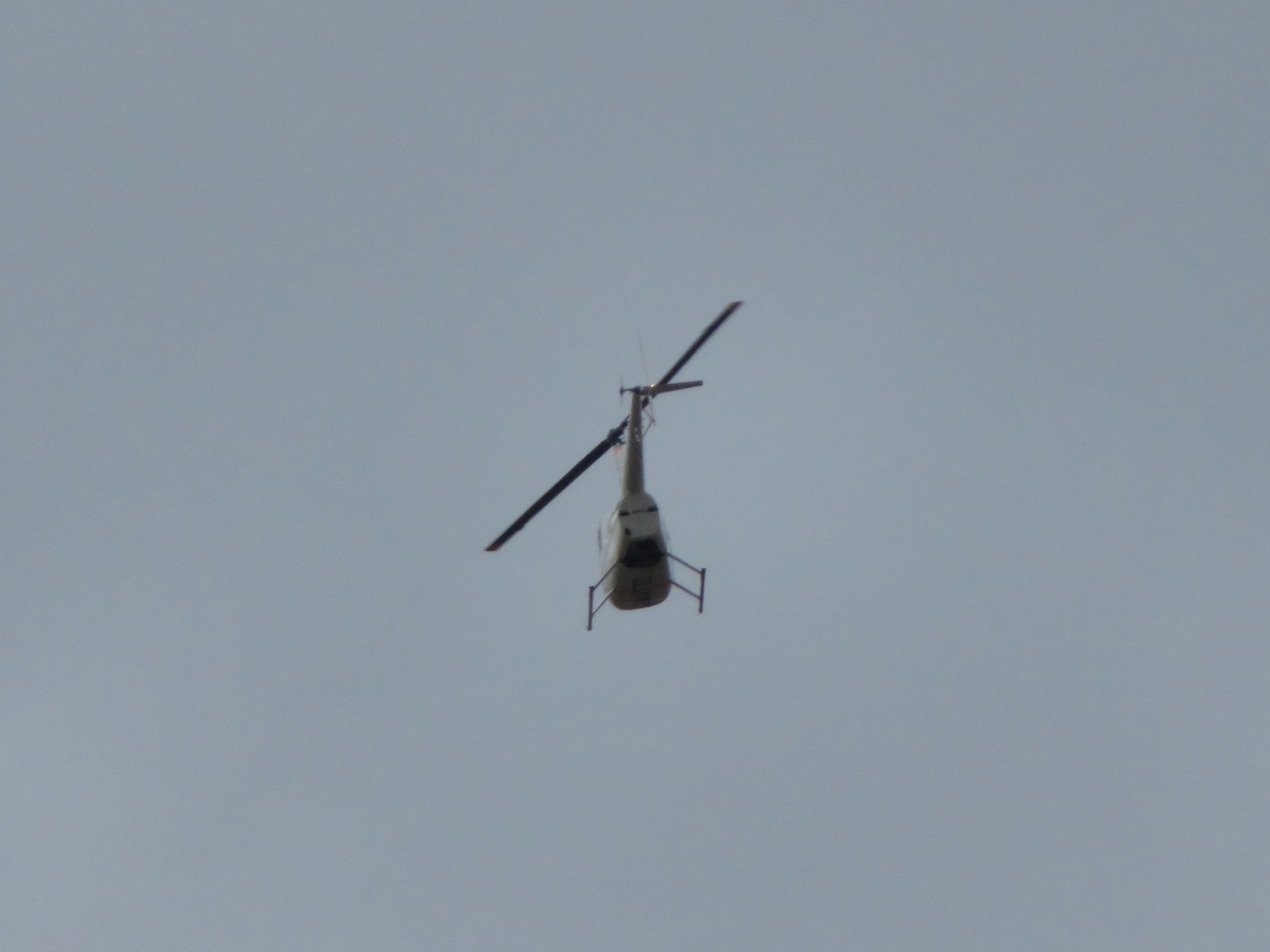 f:id:grk1:20191203192408j:plain