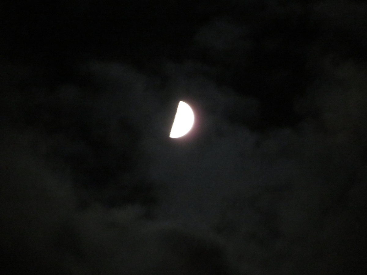 f:id:grk1:20191204202156j:plain f:id:grk1:20191204202156j:plain