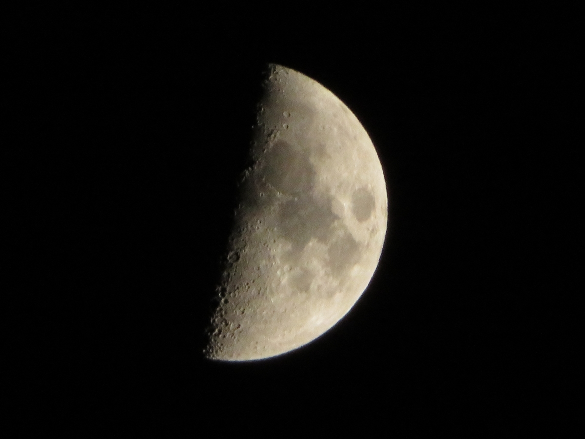 f:id:grk1:20191204203152j:plain f:id:grk1:20191204203152j:plain