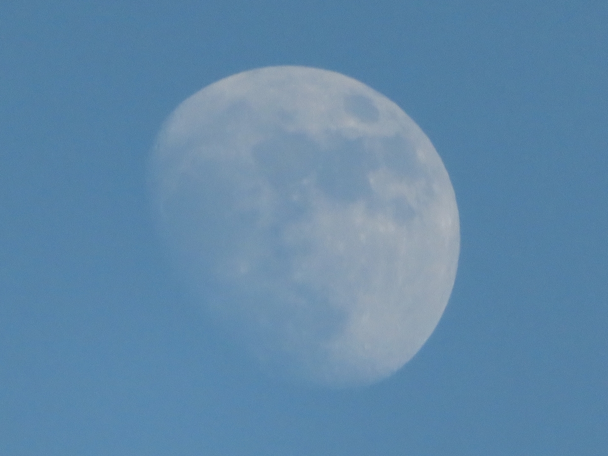 f:id:grk1:20191208220509j:plain