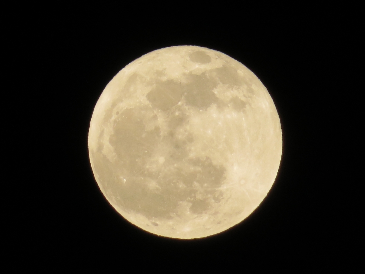 f:id:grk1:20191212200237j:plain f:id:grk1:20191212200237j:plain