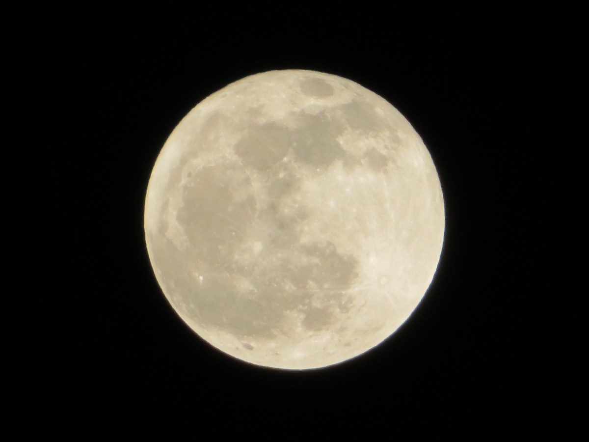 f:id:grk1:20191212200310j:plain f:id:grk1:20191212200310j:plain