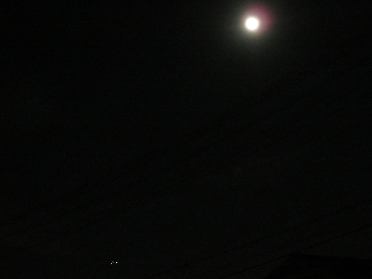 f:id:grk1:20191213205313j:plain f:id:grk1:20191213205313j:plain