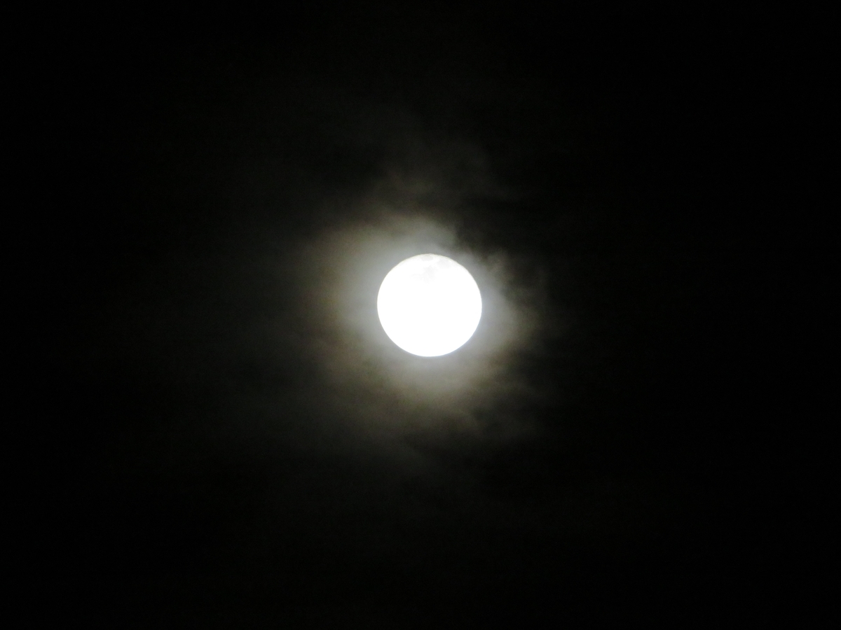 f:id:grk1:20191213205517j:plain f:id:grk1:20191213205517j:plain