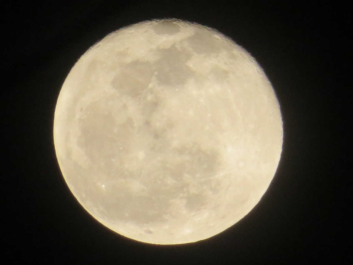 f:id:grk1:20191213205622j:plain f:id:grk1:20191213205622j:plain