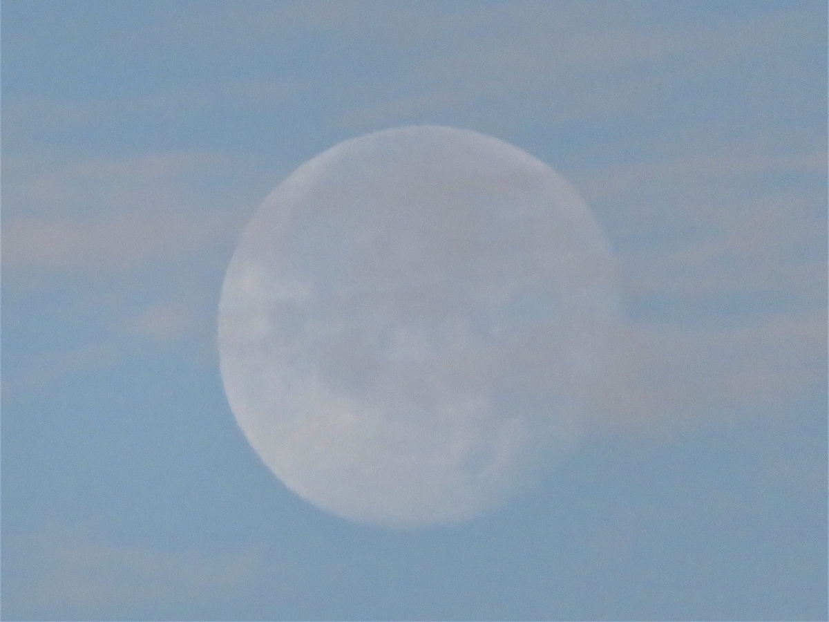 f:id:grk1:20191214083126j:plain f:id:grk1:20191214083126j:plain